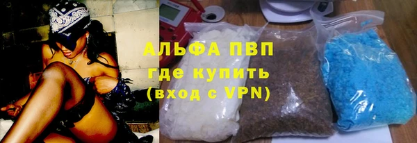 индика Кукмор