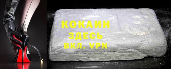 индика Кукмор