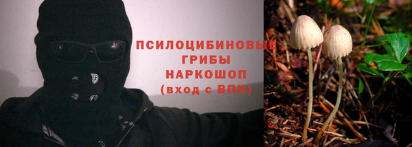 СК Красноперекопск