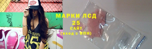 индика Кукмор