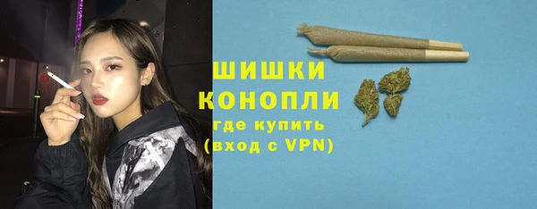 индика Кукмор