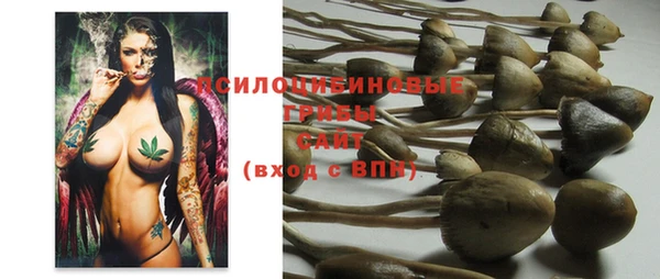 индика Кукмор