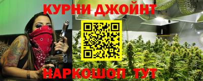 прущие грибы Можайск