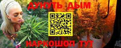 прущие грибы Можайск