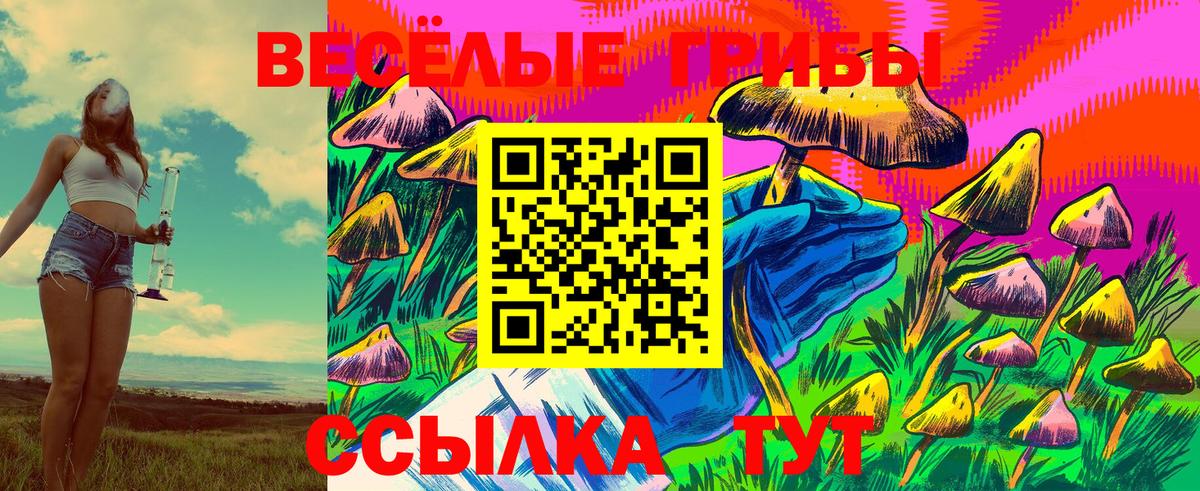 Юрга  Галлюциногенные грибы GOLDEN TEACHER  Вход с VPN 
